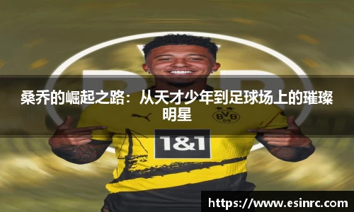 333体育官网app下载